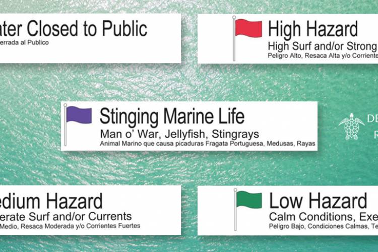 Beach Flag Warning System Beach Safety colored flags. Double Red=Closed, Red=High Hazard, Yellow=Medium Hazard, Purple=Marine Wildlife, Green=Low Warning